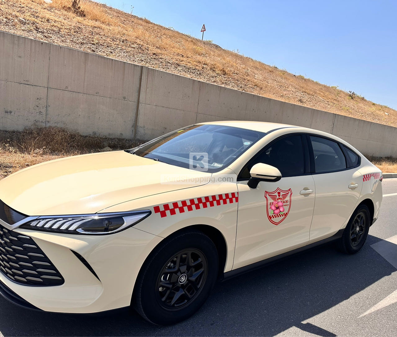 Byd qin plus 2025