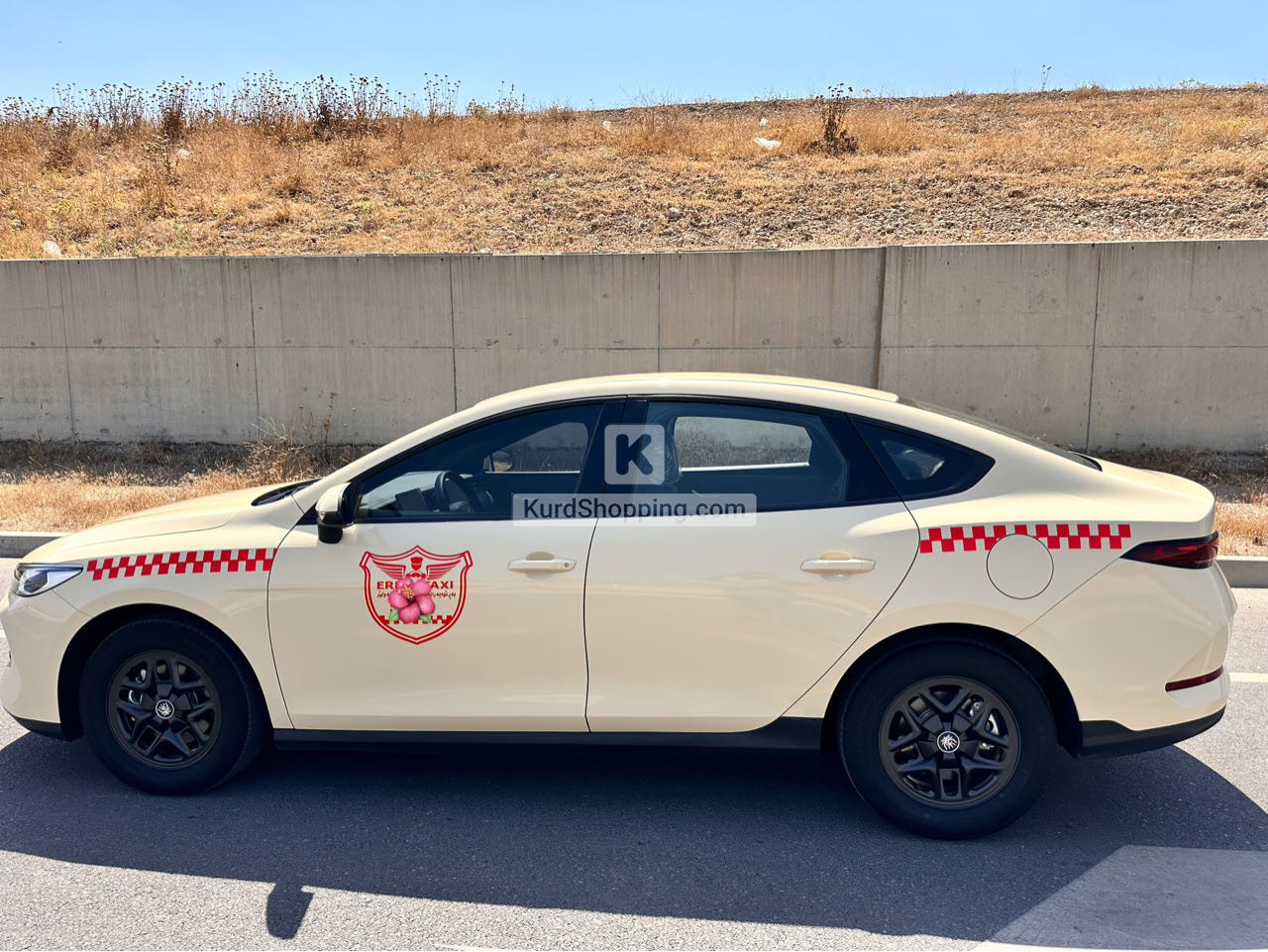 Byd qin plus 2025