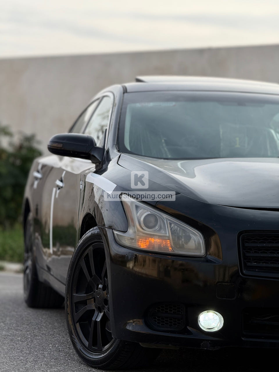 Nissan Maxima 2010