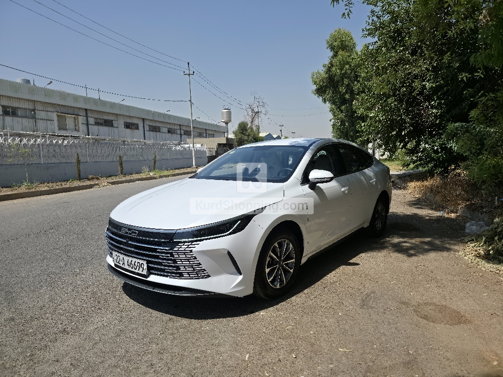 BYD DESTROYER 05 2025
