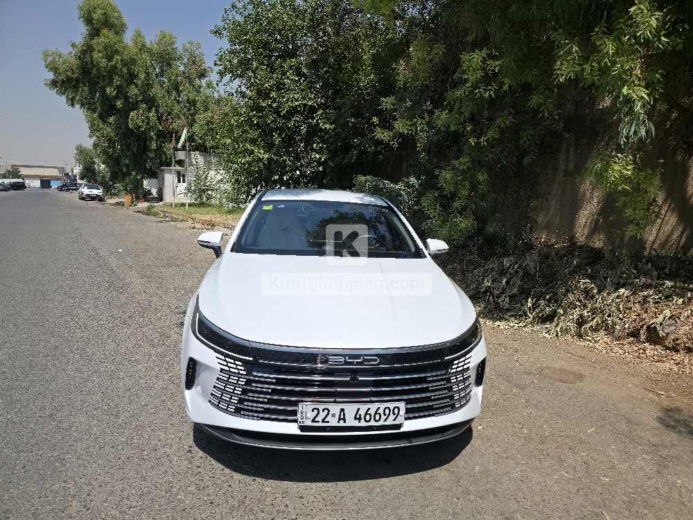 BYD DESTROYER 05 2025