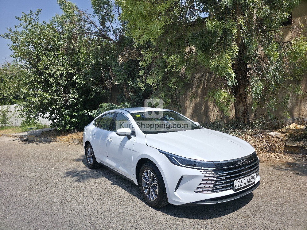BYD DESTROYER 05 2025