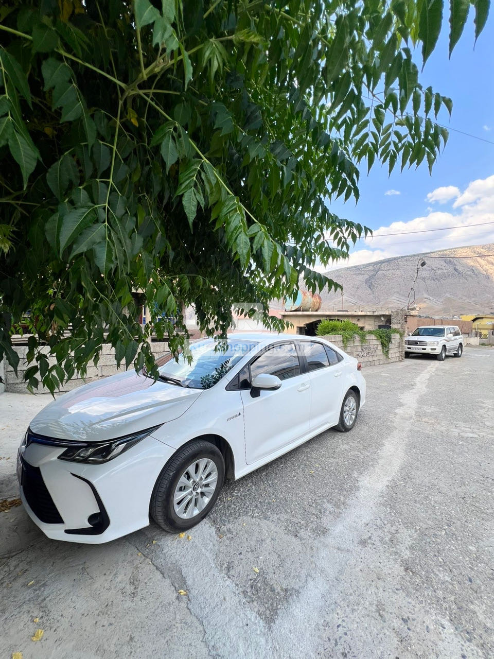 Toyota Corolla 2022