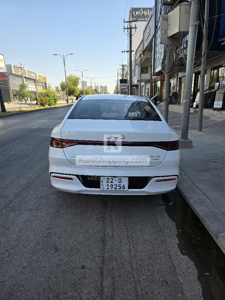BYD QIN PLUS 2025