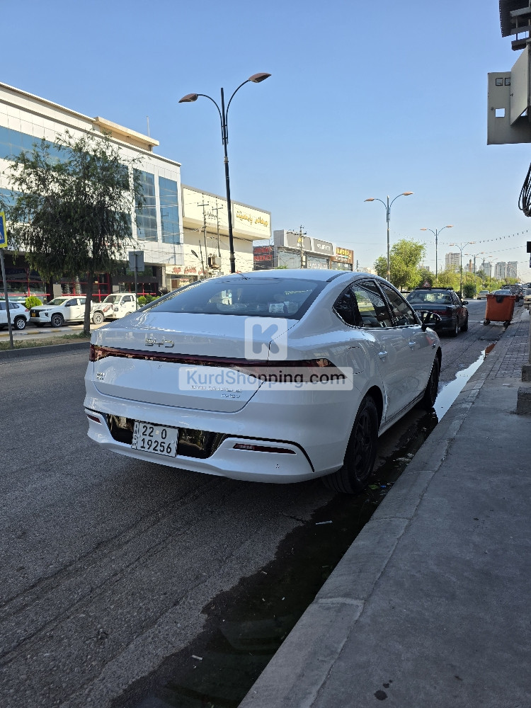 BYD QIN PLUS 2025