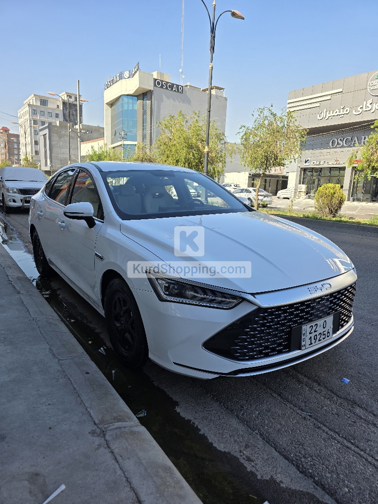 BYD QIN PLUS 2025