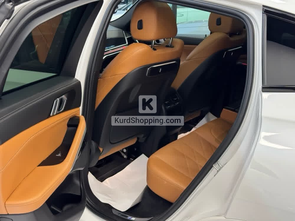 BMW X6 2024