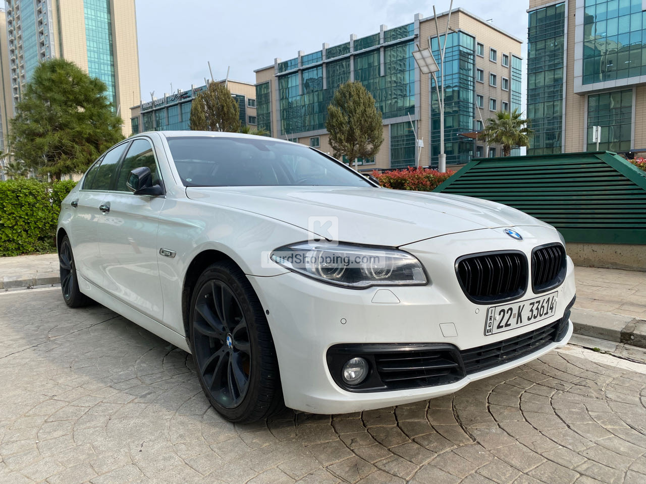 BMW 5 Series 2014