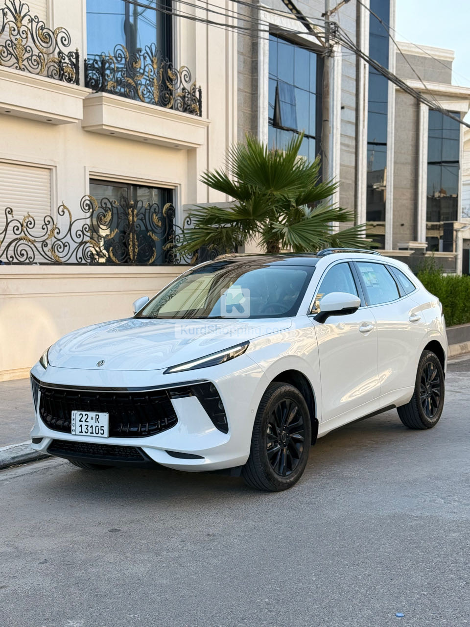 Dongfeng Forthing 2024