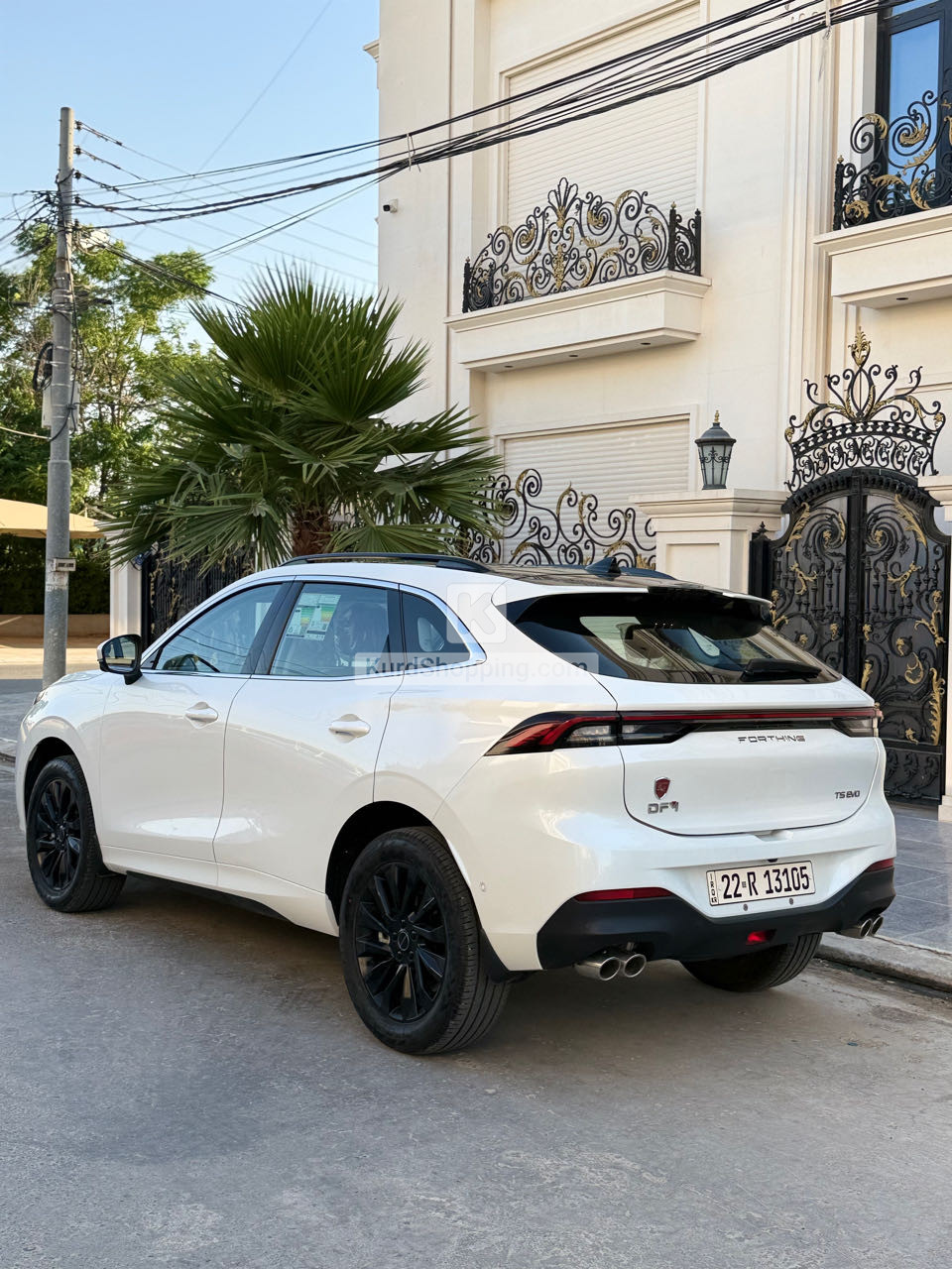Dongfeng Forthing 2024