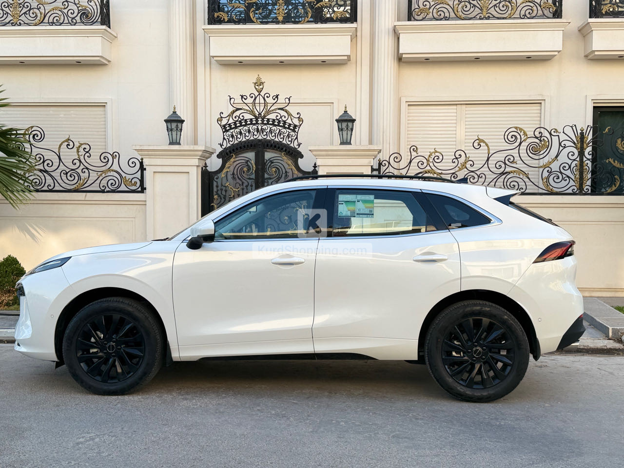 Dongfeng Forthing 2024