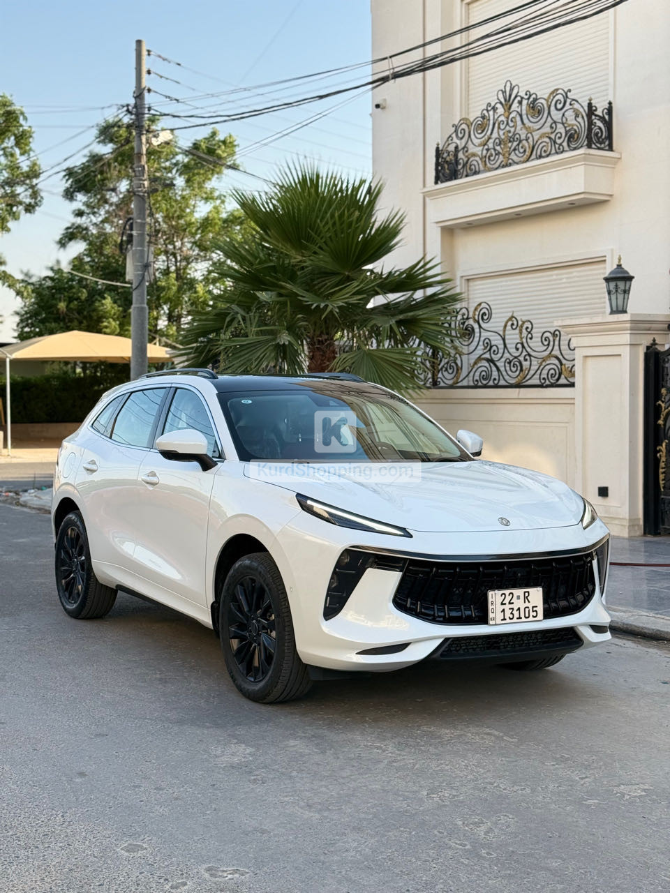 Dongfeng Forthing 2024