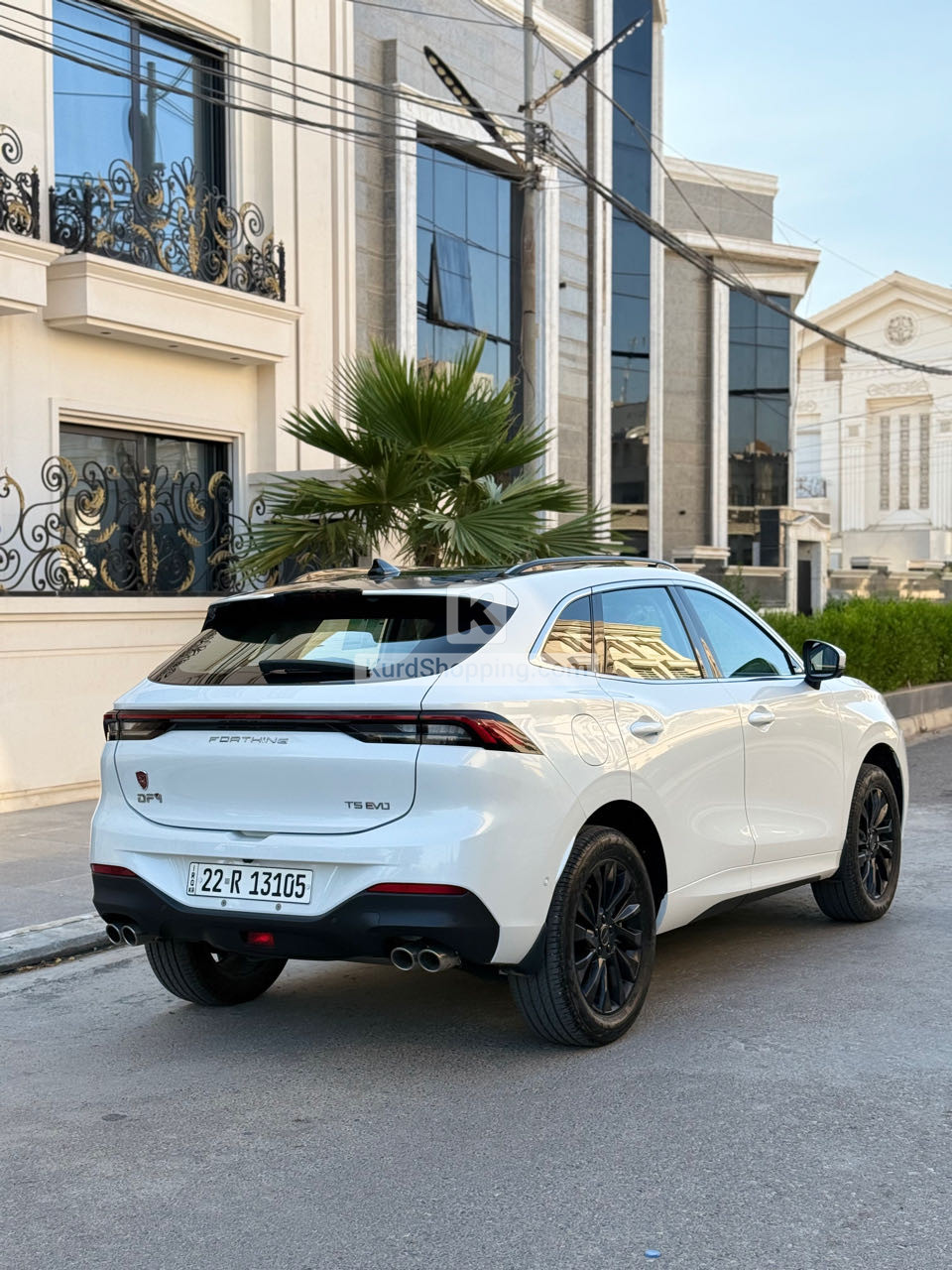 Dongfeng Forthing 2024
