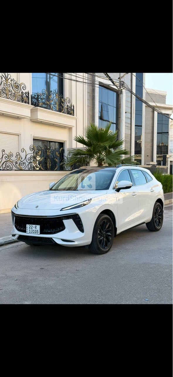 Dongfeng Forthing 2024