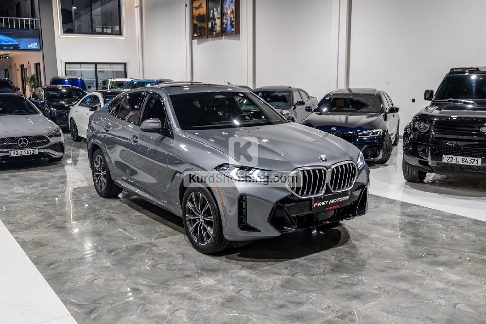 BMW X6 2024