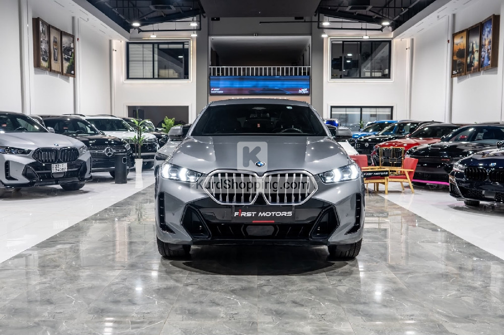 BMW X6 2024
