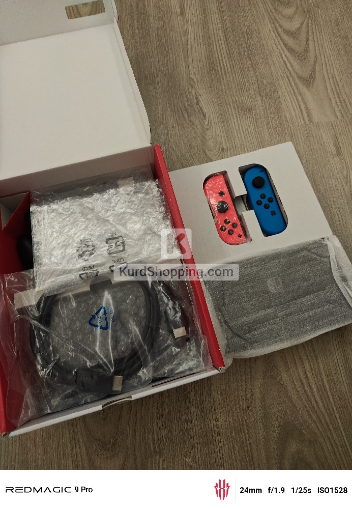 Nintendo Others