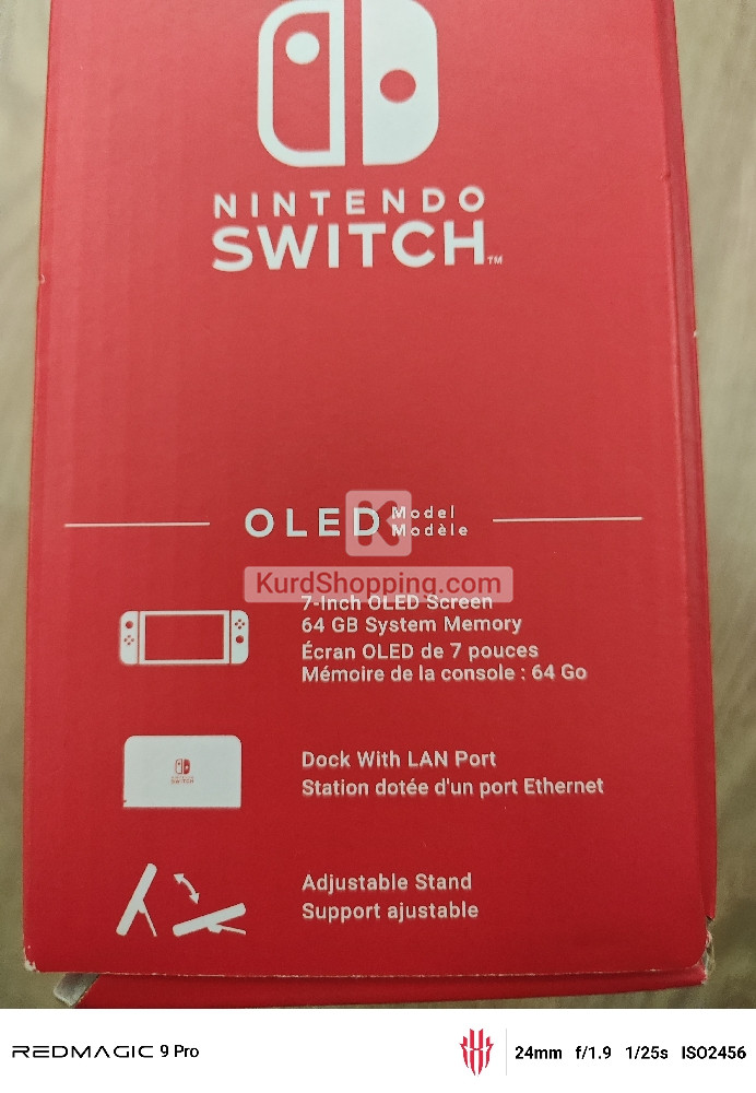 Nintendo Others
