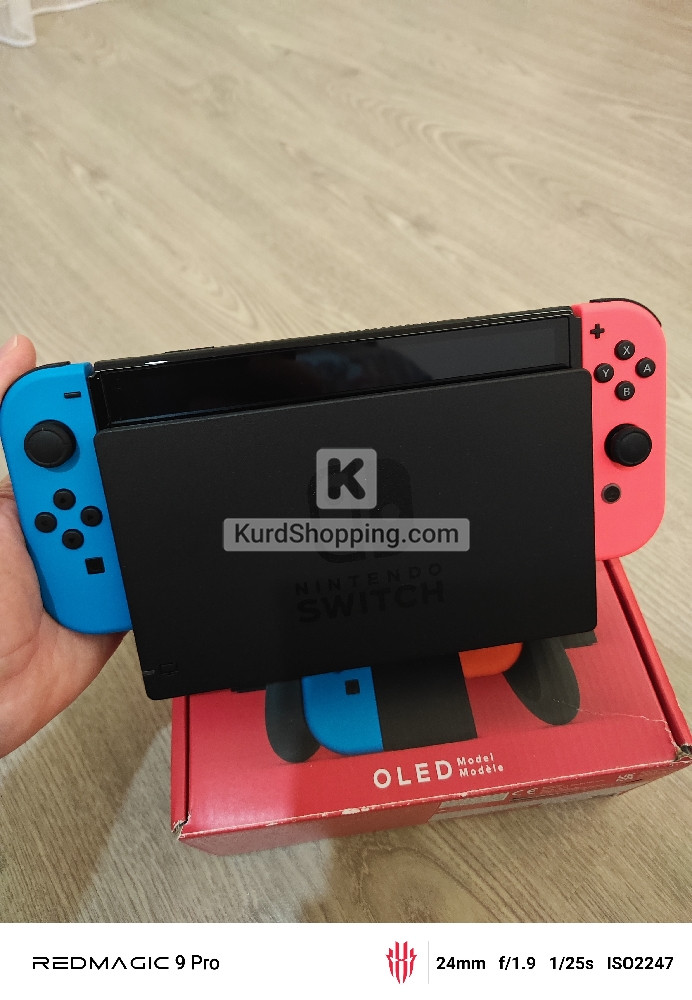 Nintendo Others
