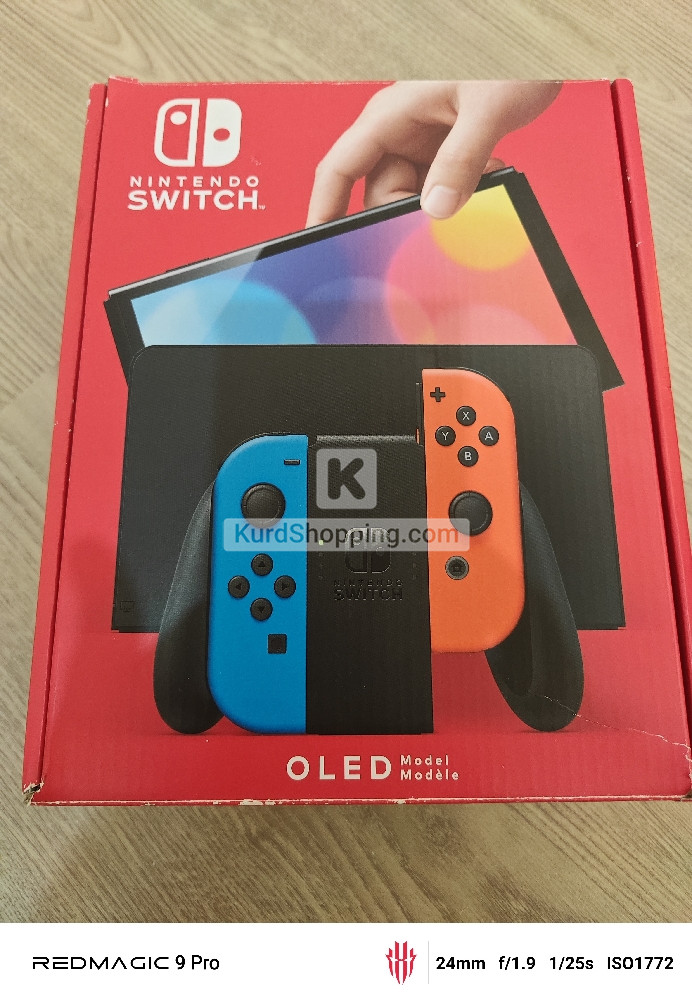 Nintendo Others