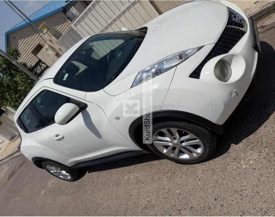 Nissan Juke 2013