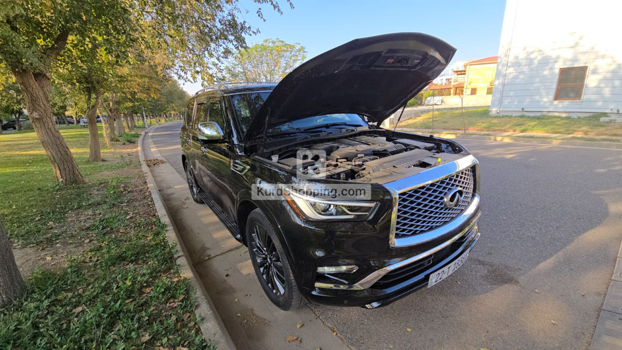 Infinity QX80 2024