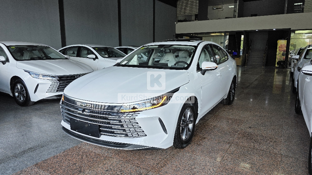 BYD DESTROYER 05 2025