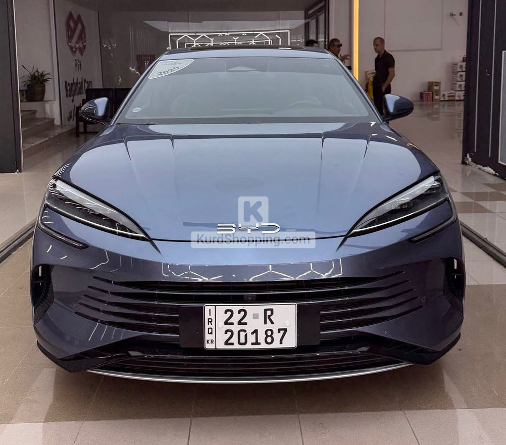 BYD SEAL 7 DM-i Type 20 Full 2025