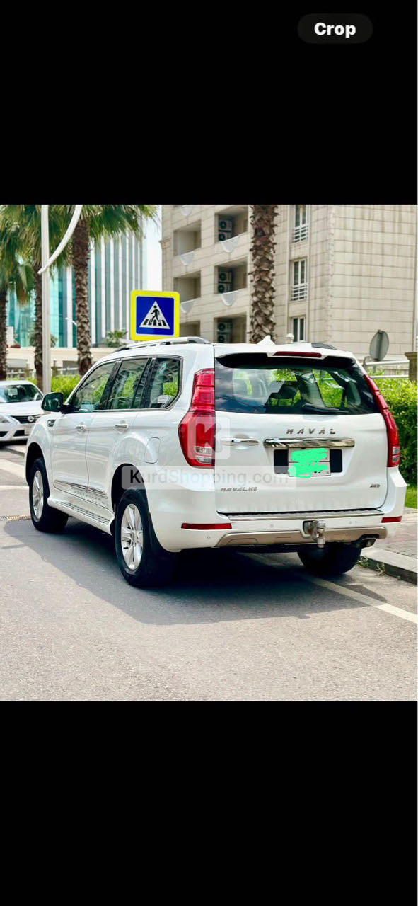 HAVAL H9 2020
