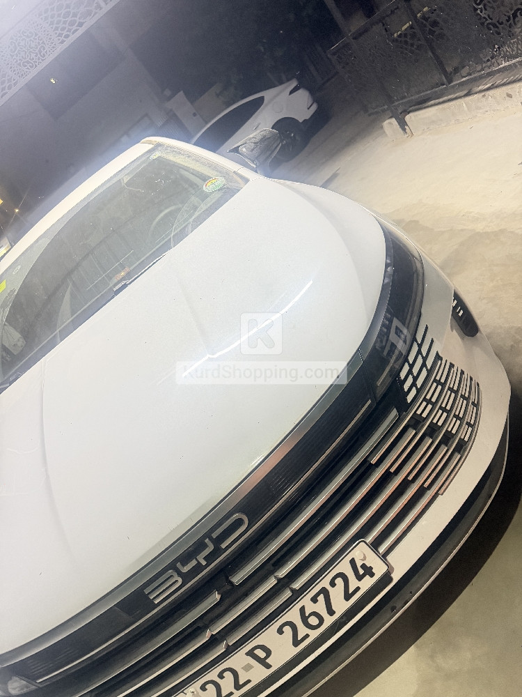 BYD DESTROYER 05 2025