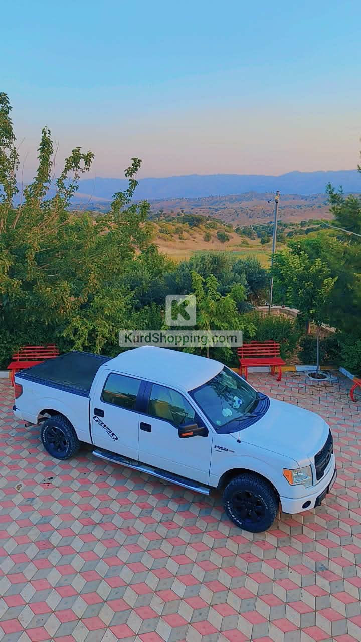 Ford F-150 2013