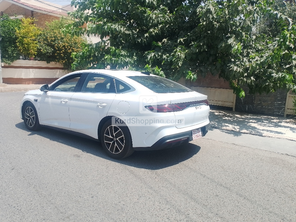 BYD QIN L 2025