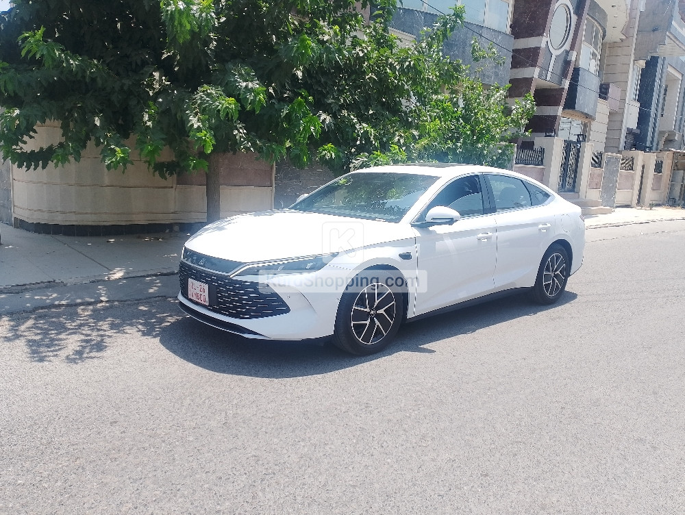 BYD QIN L 2025