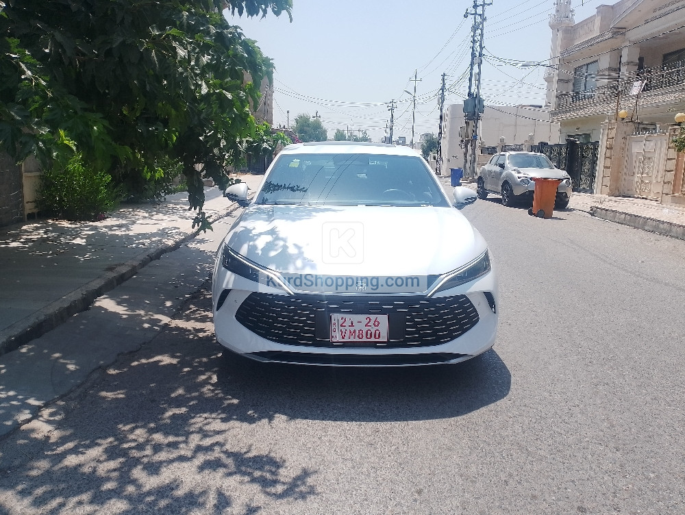 BYD QIN L 2025
