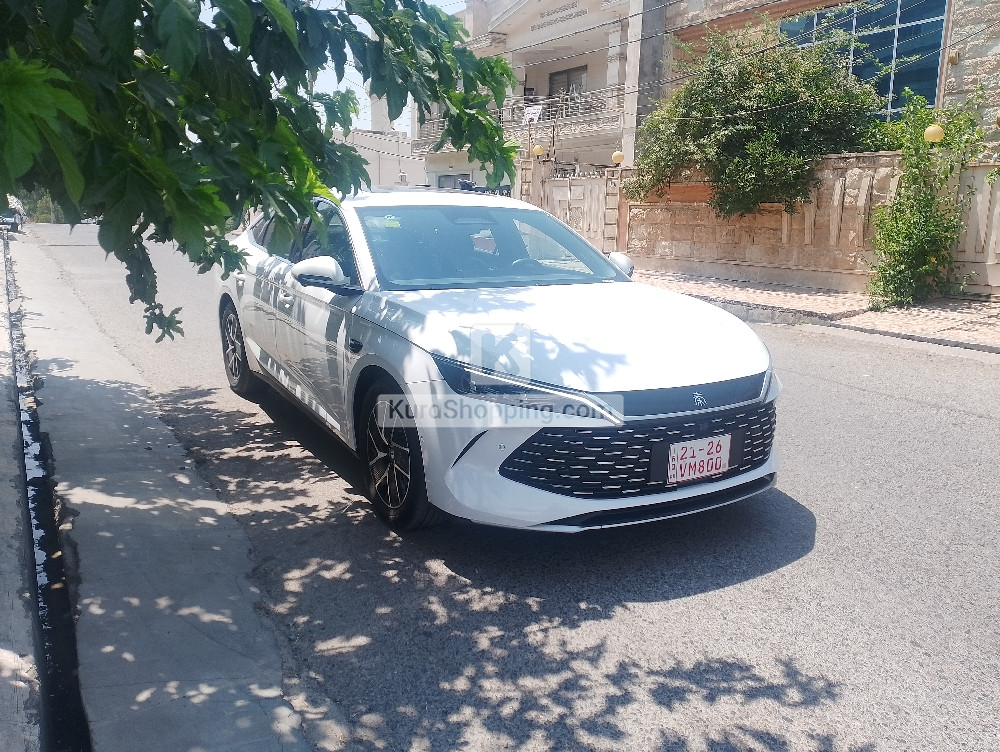 BYD QIN L 2025