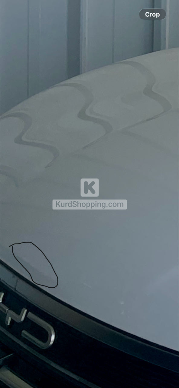 BYD DESTROYER 05 2025