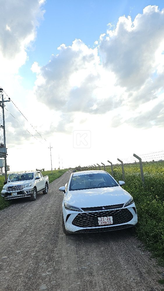 BYD QIN PLUS 2025