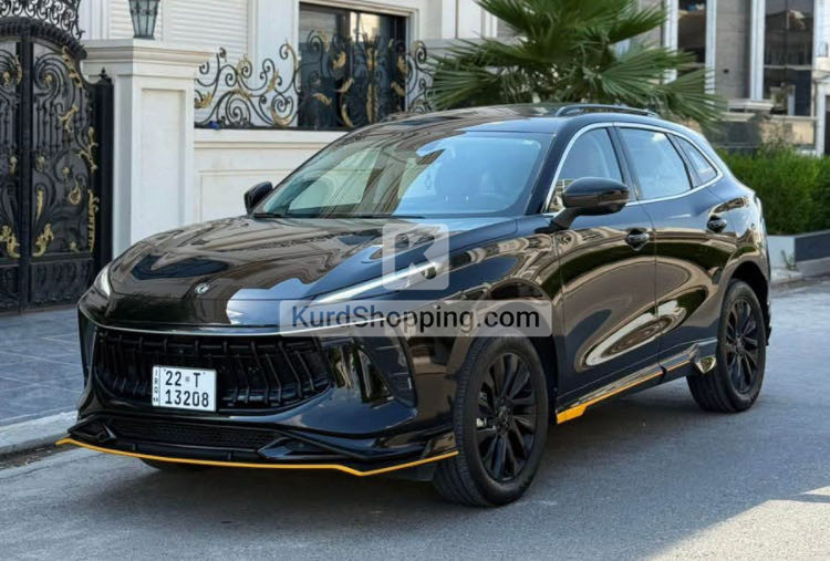 Dongfeng T Series 2024