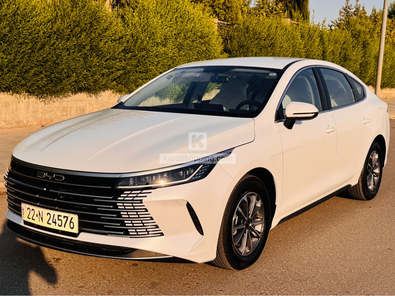 BYD DESTROYER 05 2025