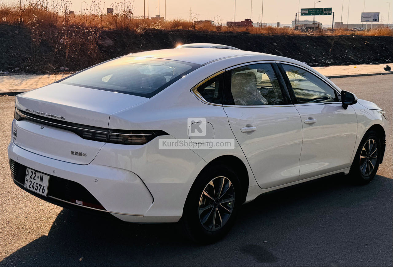 BYD DESTROYER 05 2025