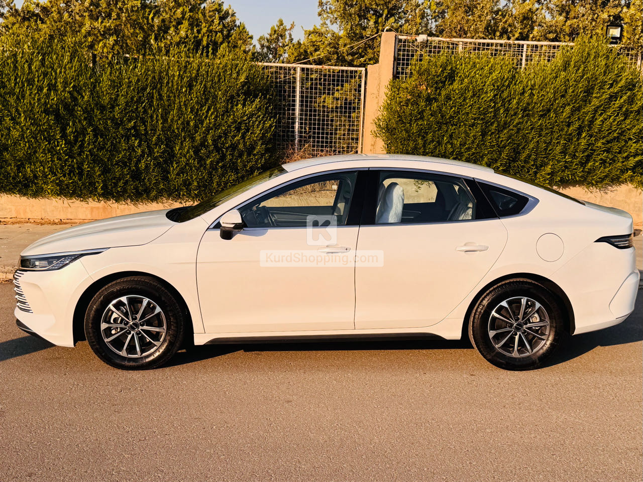 BYD DESTROYER 05 2025