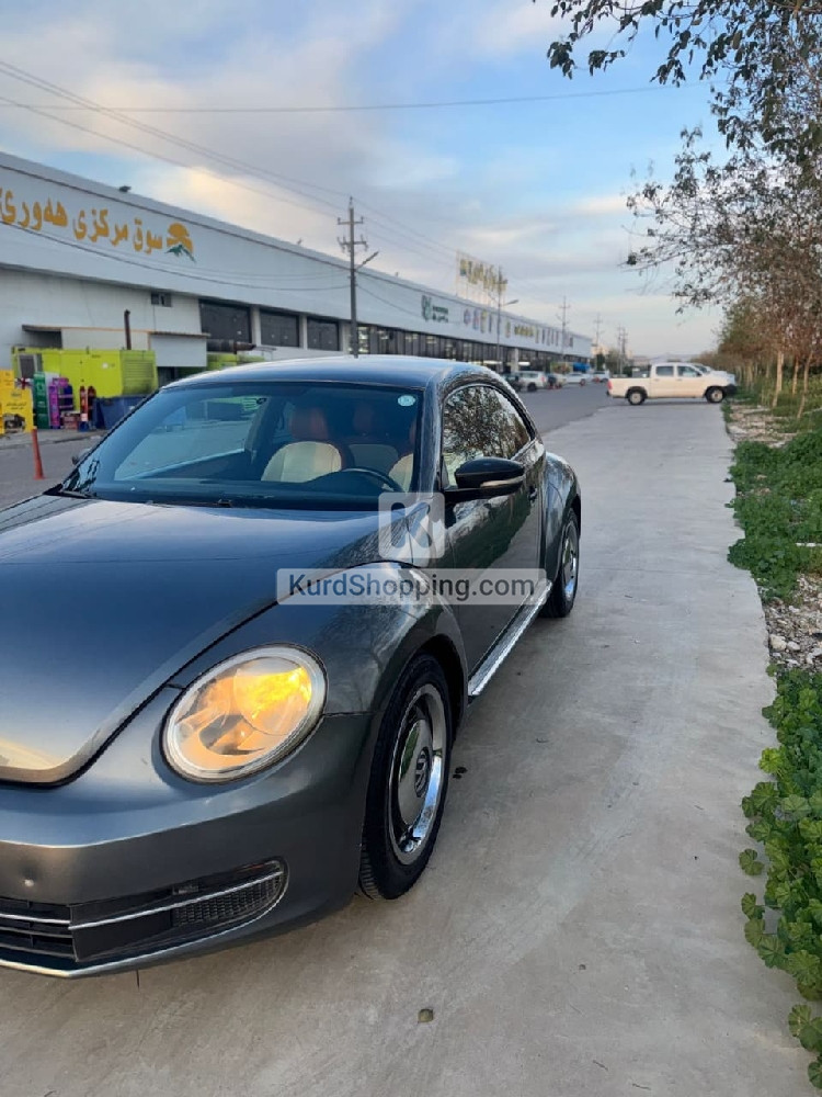 Volkswagen Beetle 2016