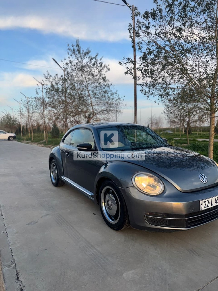 Volkswagen Beetle 2016
