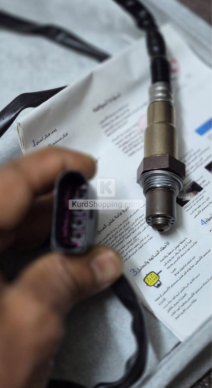 شتی ئەوروپی