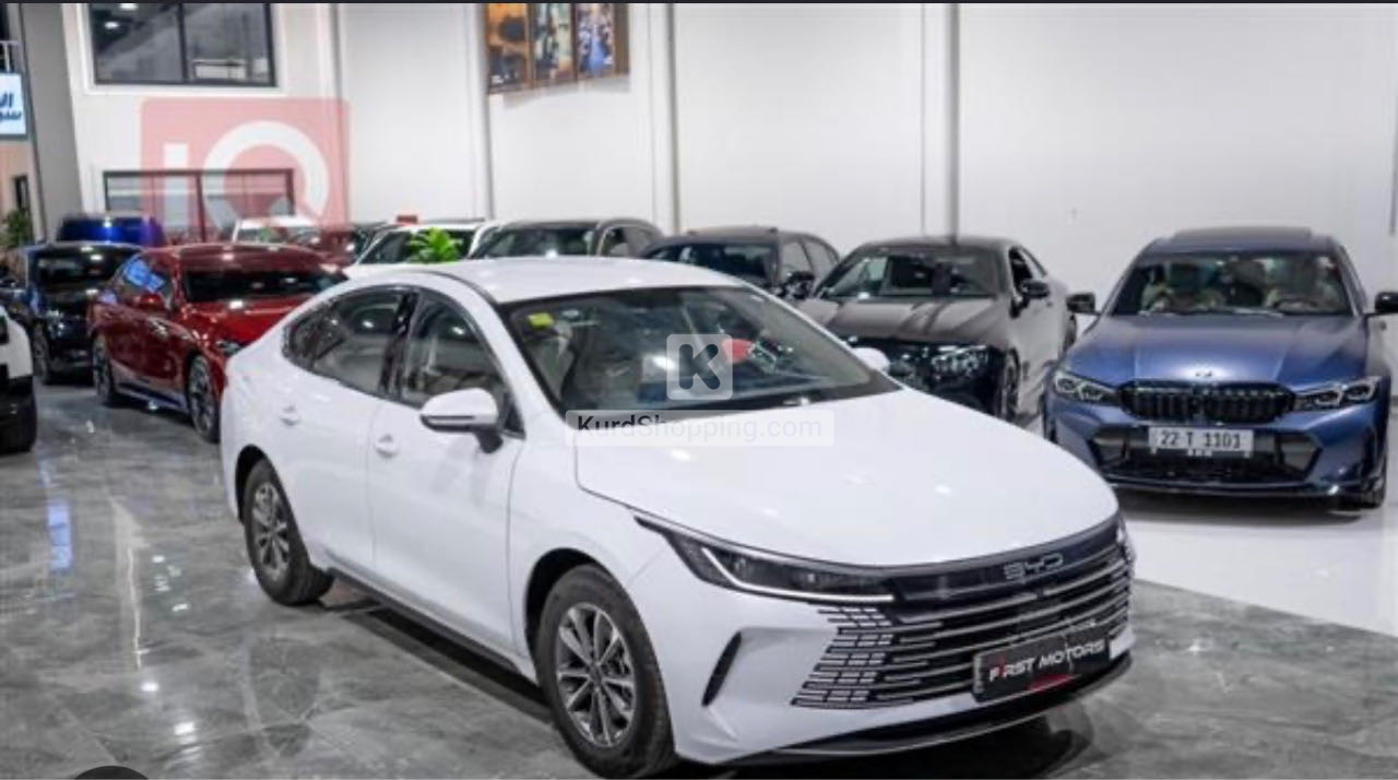 BYD DESTROYER 05 2025