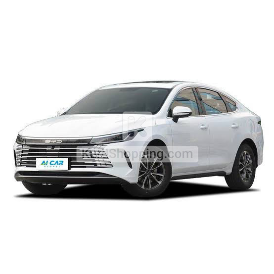 BYD DESTROYER 05 2025