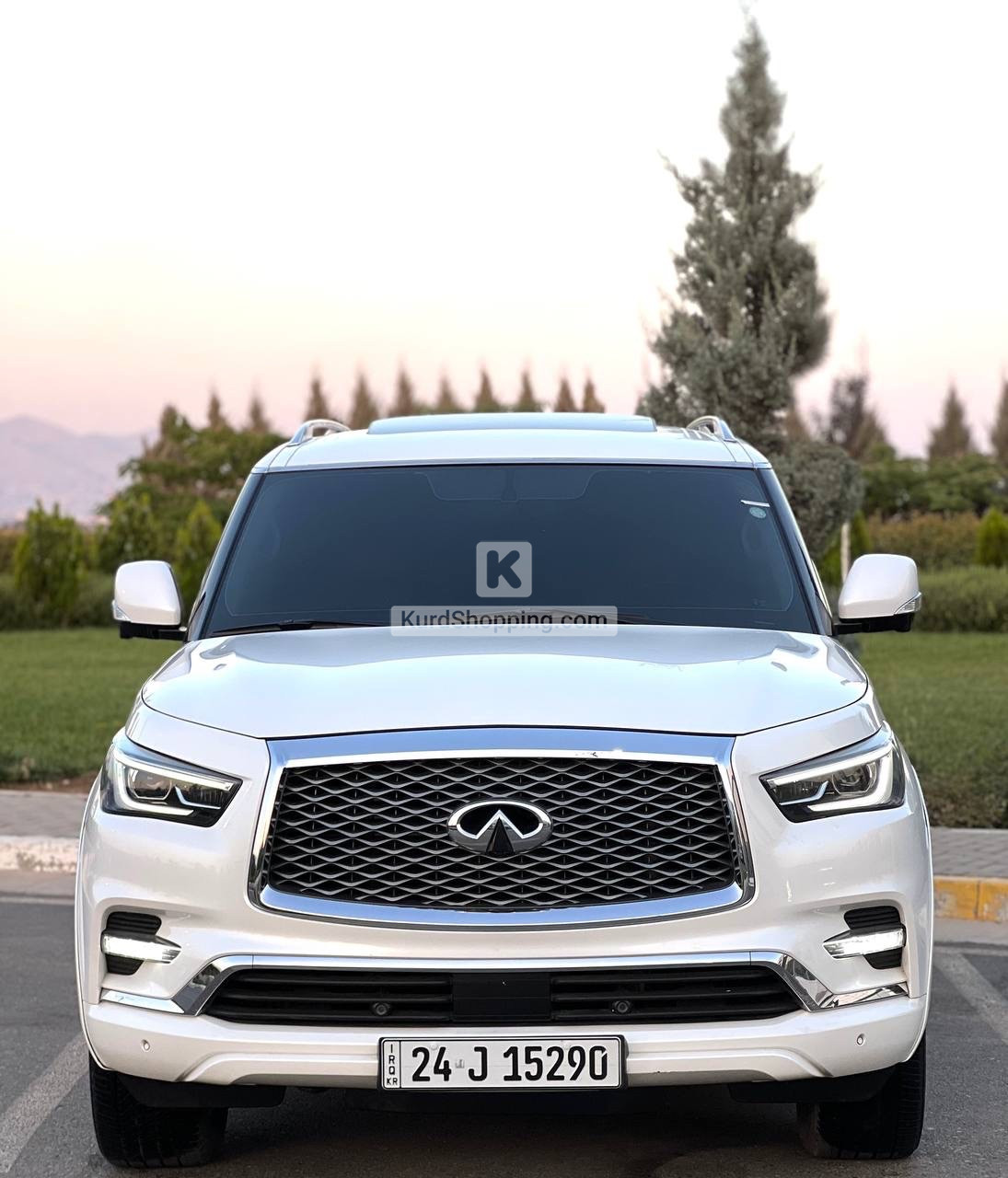 Infinity QX80 2019