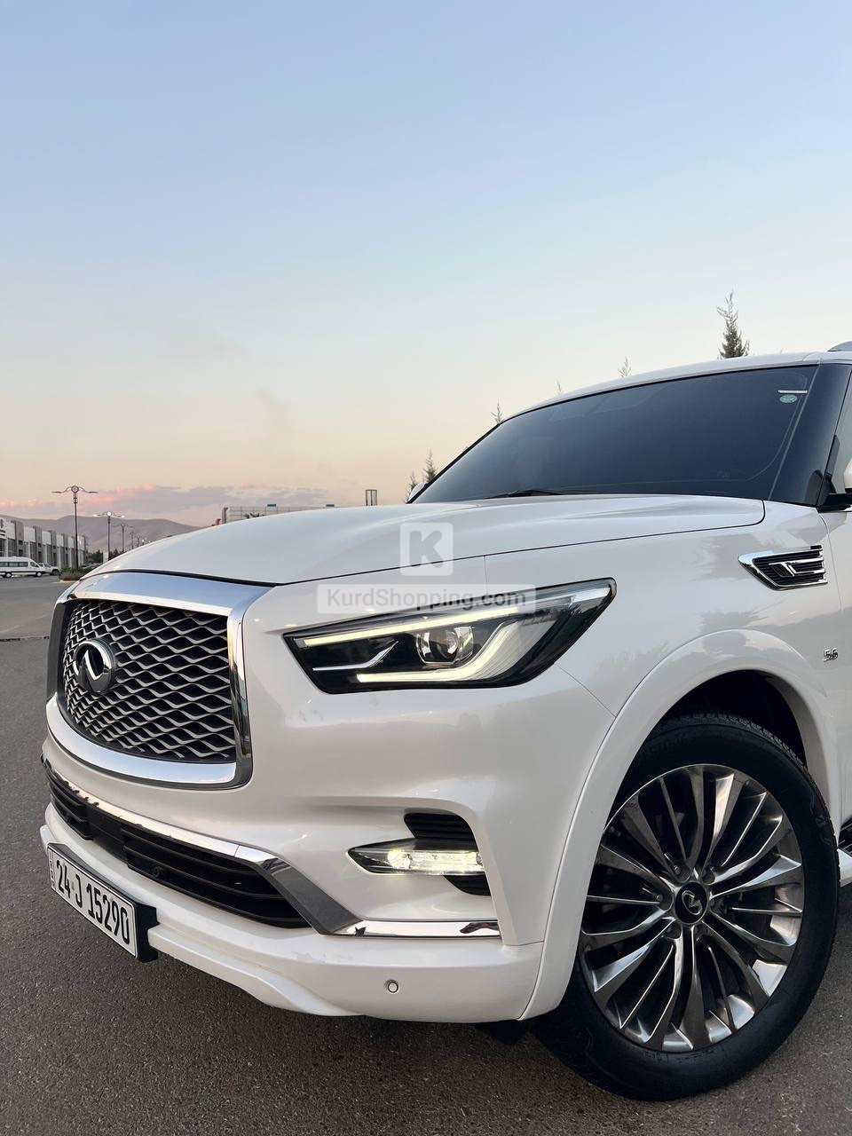 Infinity QX80 2019