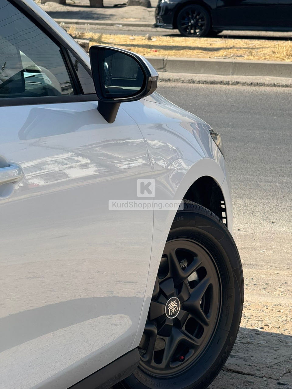 BYD QIN L 2025