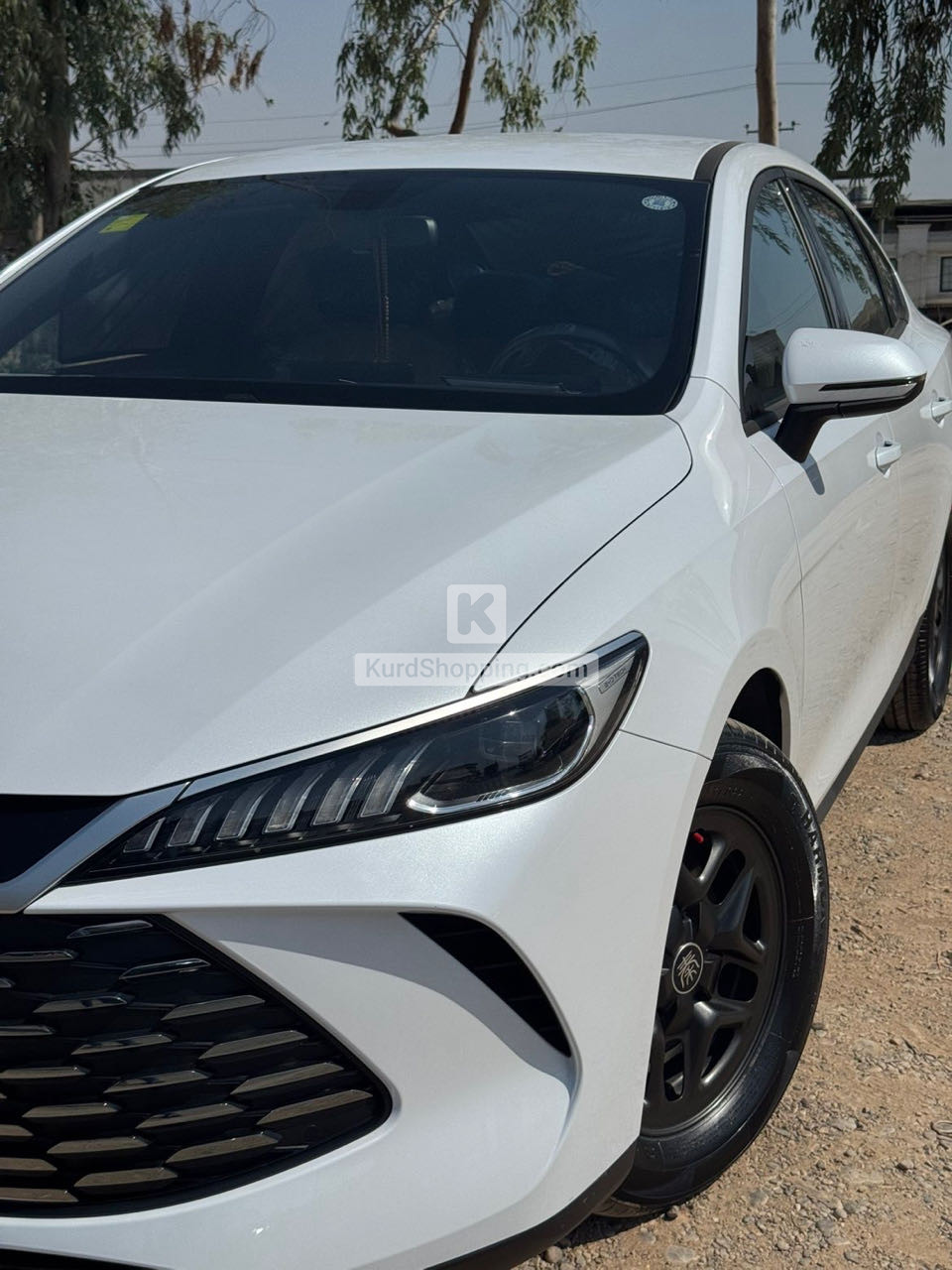 BYD QIN L 2025